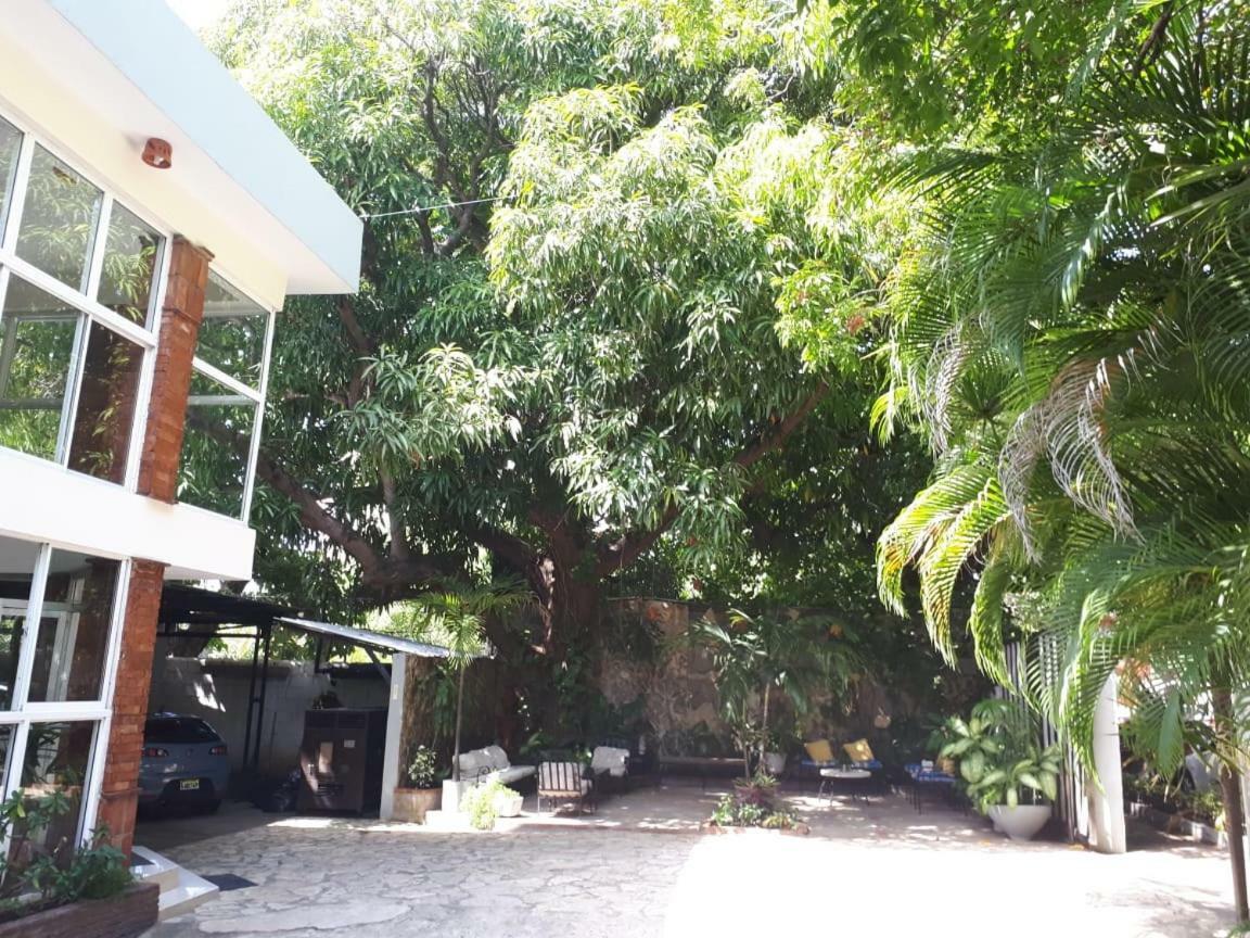 Hotel Alcaldeza - Garden House Maria Guadalupe Santo Domingo Luaran gambar