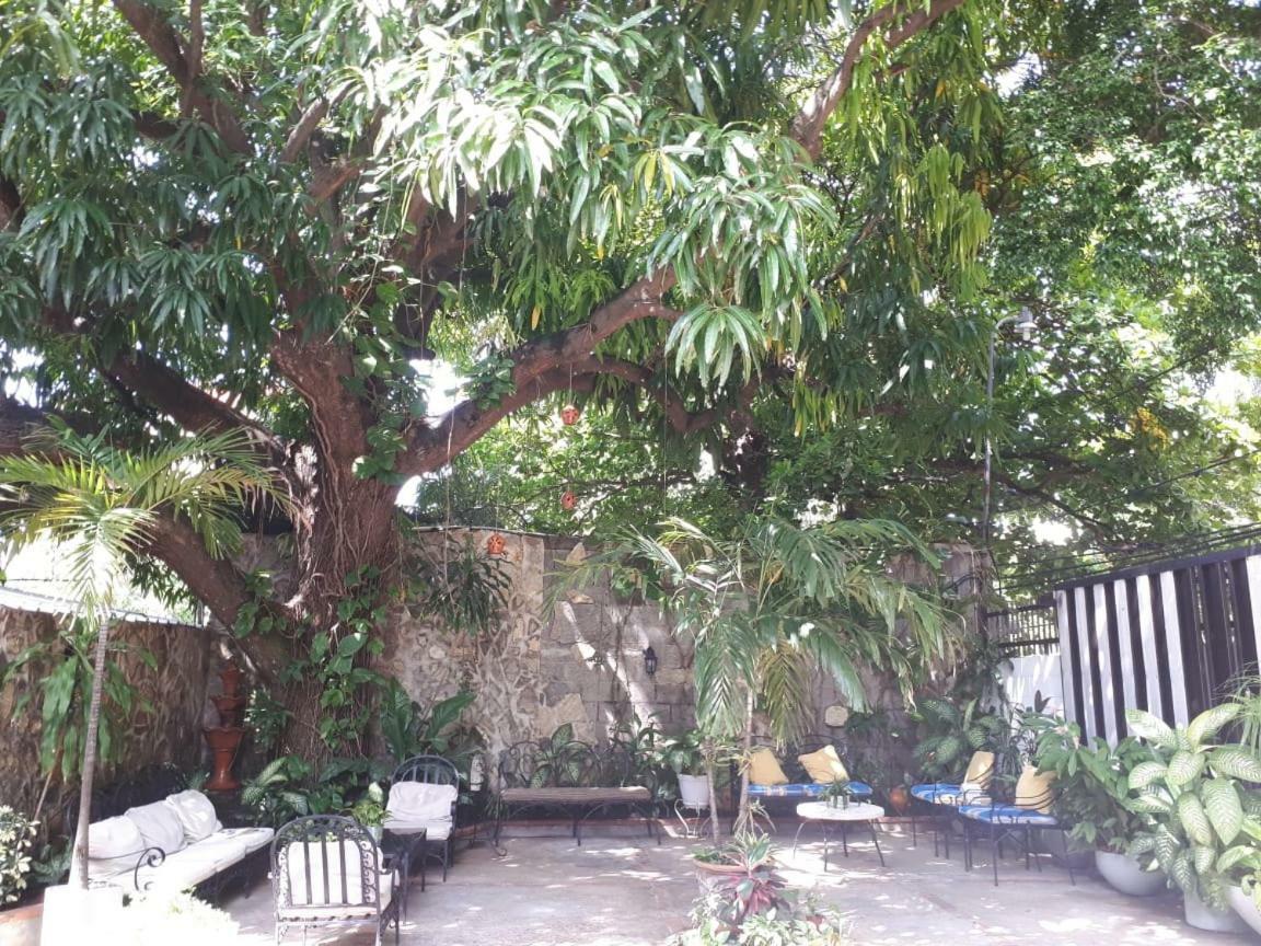 Hotel Alcaldeza - Garden House Maria Guadalupe Santo Domingo Luaran gambar