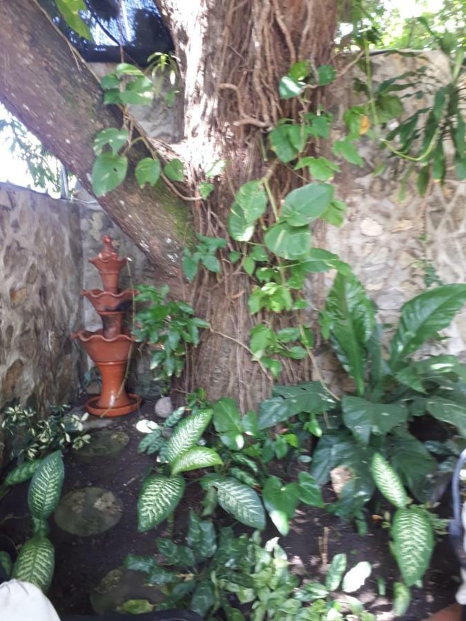 Hotel Alcaldeza - Garden House Maria Guadalupe Santo Domingo Luaran gambar