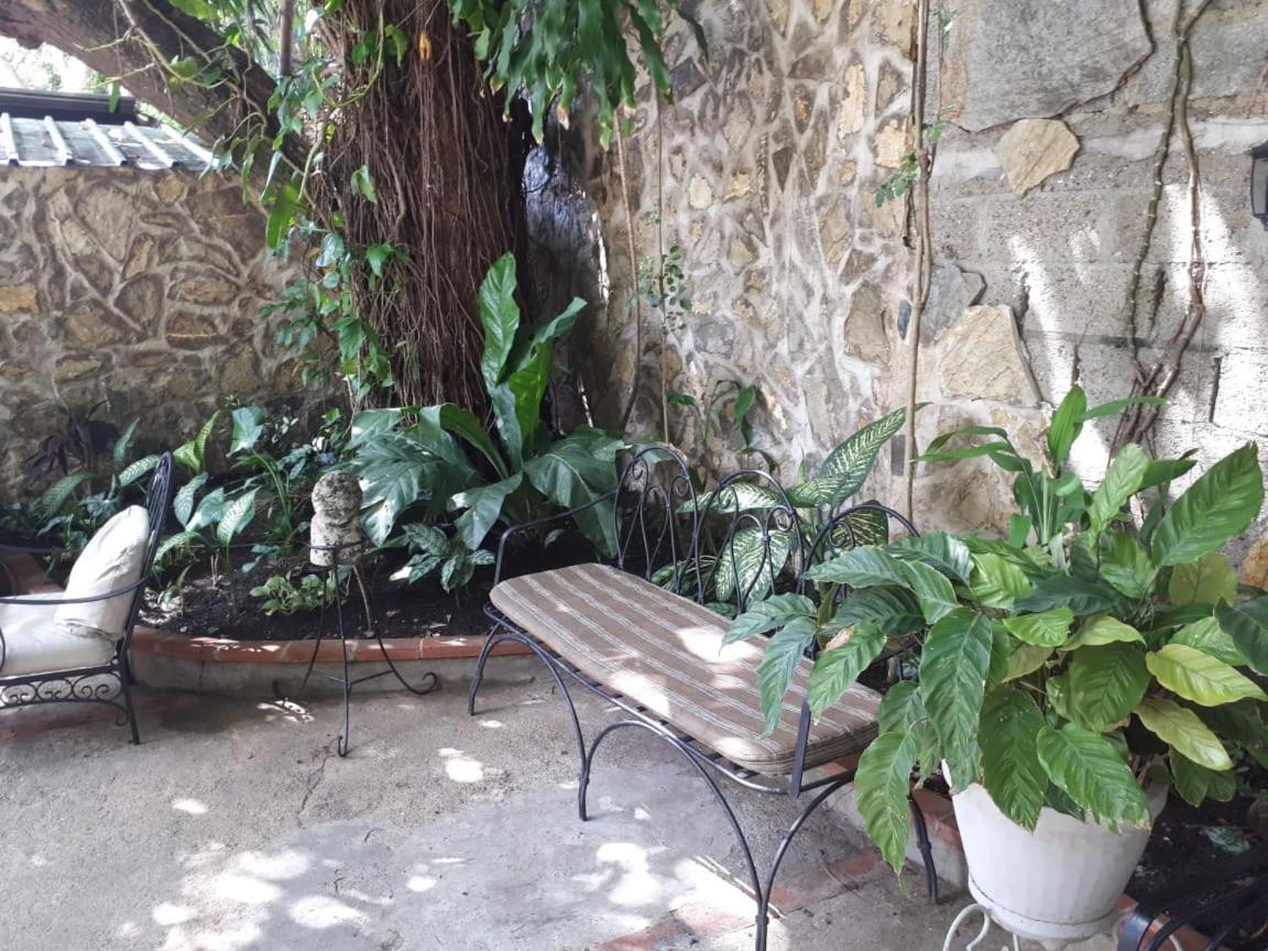 Hotel Alcaldeza - Garden House Maria Guadalupe Santo Domingo Luaran gambar