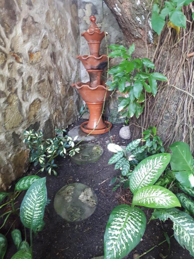 Hotel Alcaldeza - Garden House Maria Guadalupe Santo Domingo Luaran gambar